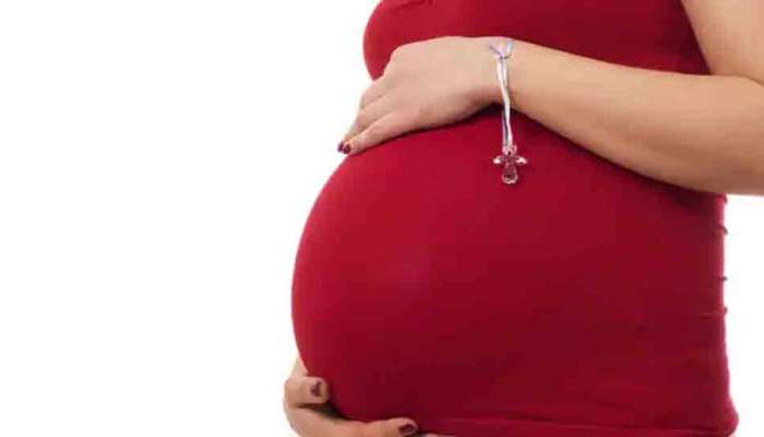 Vitamins for Get Pregnant: ప్రెగ్నన్సీ ప్రోత్సహించే బెస్ట్ విటమిన్లు.. 