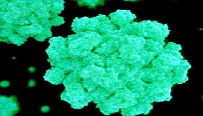 Norovirus: కేరళలో నోరో వైరస్ కలకలం..అప్రమత్తంగా ఉండాలన్న ప్రభుత్వం..