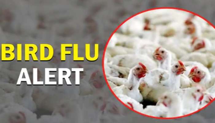 Bird Flu Cases in Kerala: కేరళలో మరోసారి బర్డ్ ఫ్లూ వ్యాప్తి.. అలప్పుజ జిల్లాలో వాటిపై నిషేధం