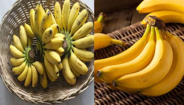 Right time to Eat Banana: ఎపుడు పడితే అపుడు కాదండోయ్!..ఈ సమయంలో అరటిపండు తింటేనే మంచిదట