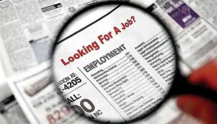 Job vacancies: ప్రభుత్వ, ప్రైవేటు రంగాల్లో భారీగా ఉద్యోగాలు- పూర్తి వివరాలు ఇవే..