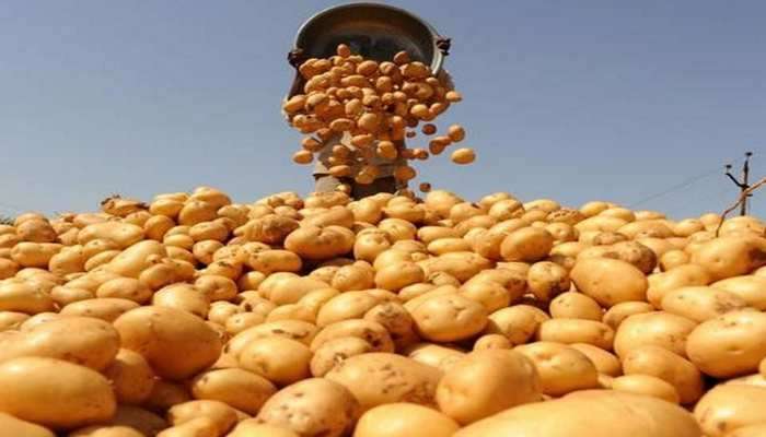 Telangana ban potatoes: ఆలుగడ్డలు రాజేసిన రాజకీయ మంట.. తెలంగాణపై యూపీ రైతుల ఆగ్రహం