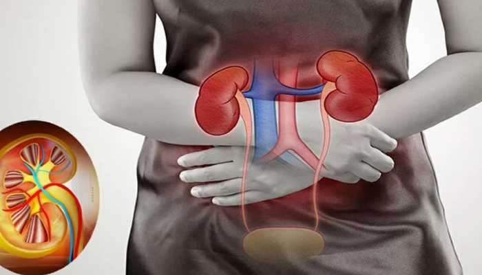  Kidney Disease Symptoms: కిడ్నీ వ్యాధి ప్రధాన లక్షణాలు, ఎలా గుర్తించాలి