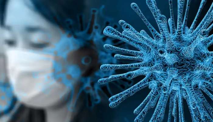  Coronavirus Spread: కరోనా వైరస్ 7 నెలల వరకూ సజీవంగానేనా..నిర్ఘాంతపోయే నిజమిది