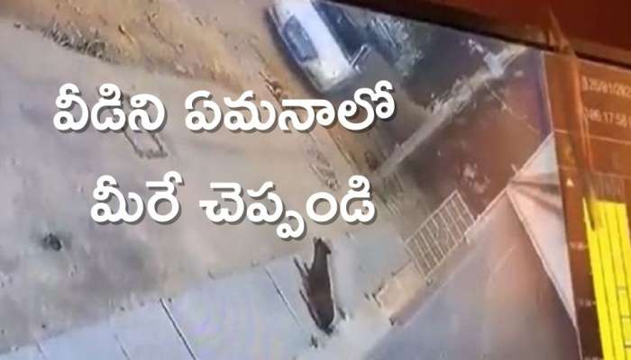 Horrific Video: శునకంపై కర్కశత్వం.. వీడిని ఏమనాలో వీడియో చూసి మీరే చెప్పండి