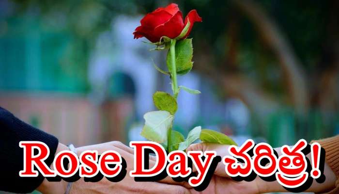 Valentine Week 2022: వాలెంటైన్ వీక్ లో తొలి రోజు Rose Dayగా ఎందుకు జరుపుకొంటారో తెలుసా?