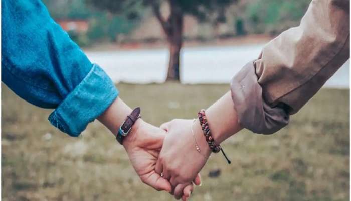  Vastu Tips: సంసారం సాఫీగా సాగిపోయేందుకు బెడ్ రూమ్ వాస్తు టిప్స్