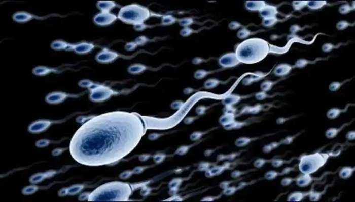 Sperm Count: పురుషుల్లో శుక్రకణాల లోపాలకు కారణాలేంటో తెలుసుకోండి!