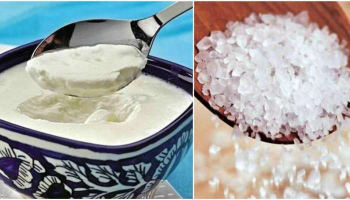 Curd Sugar Benefits: పెరుగు, చక్కెర కలిపి తింటే కలిగే ప్రయోజనాలేంటో తెలుసా?