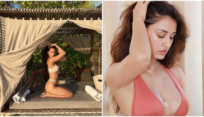 Disha Patani Bikini: బికినీలో దిశా పటాని.. ఆ అందాలు చూడతరమా?!!