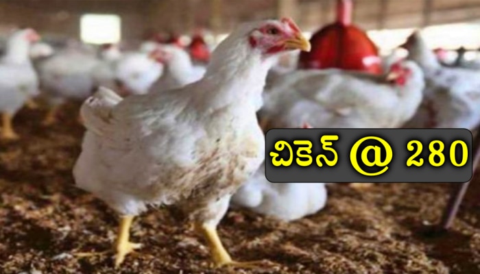 Chicken Price Hike: తెలుగు రాష్ట్రాల్లో మాంసం ప్రియులకు చుక్కలు.. కిలో చికెన్ ఎంతంటే?