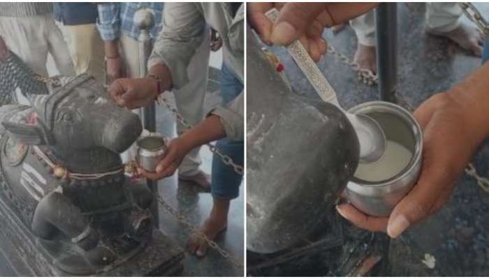 Nandi Drinking Milk: ఓ మై గాడ్​.. శివాల‌యంలో పాలు తాగుతున్న నంది విగ్రహం! ఆలయానికి పోటెత్తిన భక్తులు!!