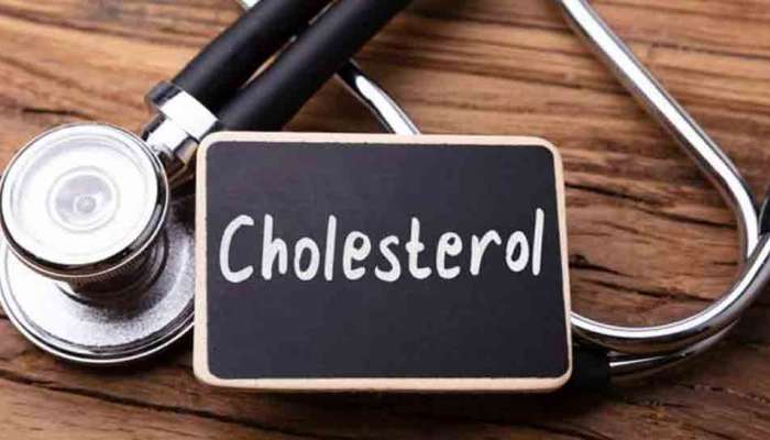 Bad Cholesterol: శరీరంలో చెడు కొలెస్ట్రాల్ తగ్గించే ఆహార పదార్థాలు &amp; పద్ధతులు 