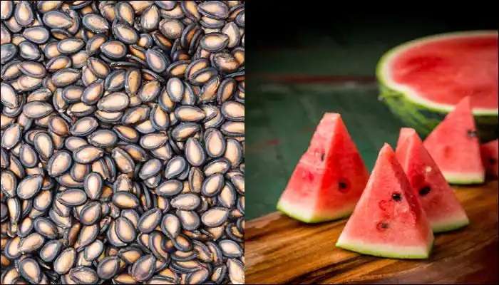  Water Melon Benefits: పుచ్చకాయలతో కేవలం వేడి తగ్గడమే కాదు..ఇంకా చాలా ప్రయోజనాలున్నాయి. 