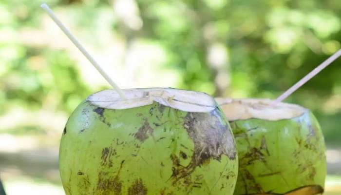 Coconut Water Benefits: ప్రతిరోజూ కొబ్బరి నీళ్లు తాగితే హైబీపీతో పాటు అనేక సమస్యలకు ఫుల్ స్టాప్! 