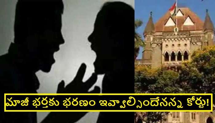 Husband and Wife Viral News: మాజీ భర్తకు భరణం చెల్లించాల్సిందిగా మహిళకు కోర్టు ఆదేశాలు