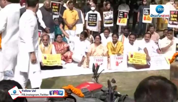 Rahul Gandhi leads fuel hike protest by Congress MPs in Delhi