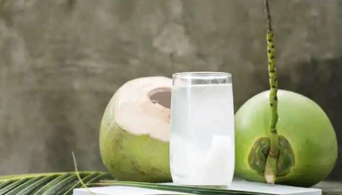 Pregnancy Coconut Water: గర్భధారణ సమయంలో కొబ్బరి నీళ్లు తాగడం మంచిదేనా?