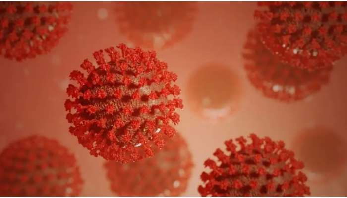Coronavirus XE Variant: భారత్‌లో కొత్త వేరియంట్‌ కలకలం.. ముంబైలో తొలి కేసు నమోదు! 