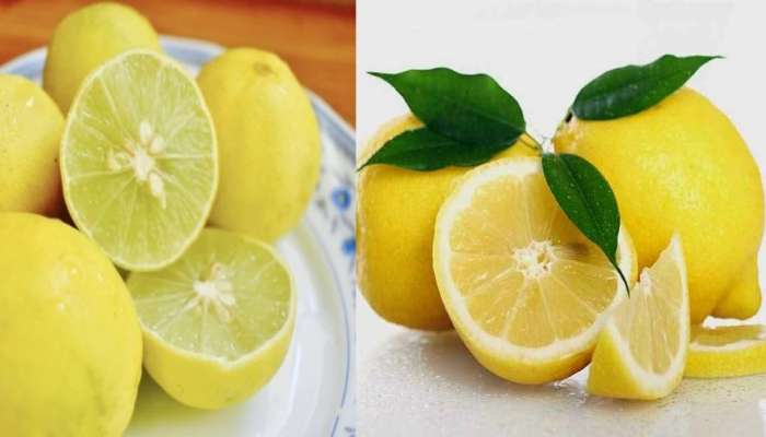 Lemon Benefits: నిమ్మతో ఆరోగ్యమే కాదు అందం కూడా..ఎలాగో తెలుసుకోండి