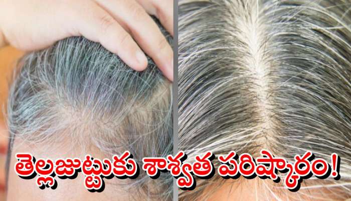 White Hair Solution: Follow These Tips For white hair to turn black  permanently | White Hair Solution: తెల్లజుట్టు శాశ్వతంగా నల్లగా మారాలంటే  ఇలా చేయండి! | హెల్త్ News in Telugu