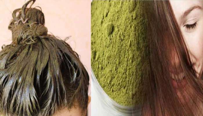 Henna for Hair: Those who apply henna to hair should definitely know these  facts | Henna for Hair: జుట్టుకు హెన్నా రాసుకునే వాళ్లు కచ్చితంగా ఈ నిజాలను  తెలుసుకోవాలి! | హెల్త్ News in Telugu
