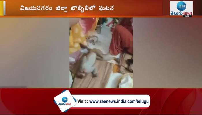Monkey took part in Srirama navami celebrations at a temple in vizianagaram district of Andhra pradesh