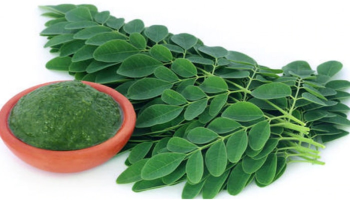 Moringa Leaf Benefits: మునగ ఆకులు తినండి... ఈ వ్యాధులను దూరం చేయండి