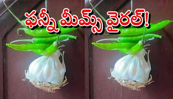 Viral News: పెరిగిన నిమ్మకాయ, ఎండుమిర్చి ధరలు.. సోషల్ మీడియాలో ఫన్నీ మీమ్స్!