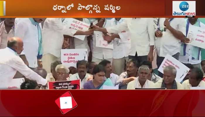 YS Sharmila takes part in farmers protest in Bhadradri Kothagudem district