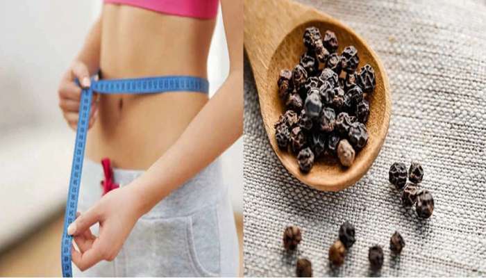 Black Pepper for Weight Loss: నల్ల మిరియాల వినియోగంతో మీరు తక్షణం బరువు తగొచ్చు!