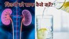 Kidney Health: మీ కిడ్నీలు ఆరోగ్యంగా ఉండాలంటే..రోజూ నిమ్మరసం ఇలా తాగండి చాలు