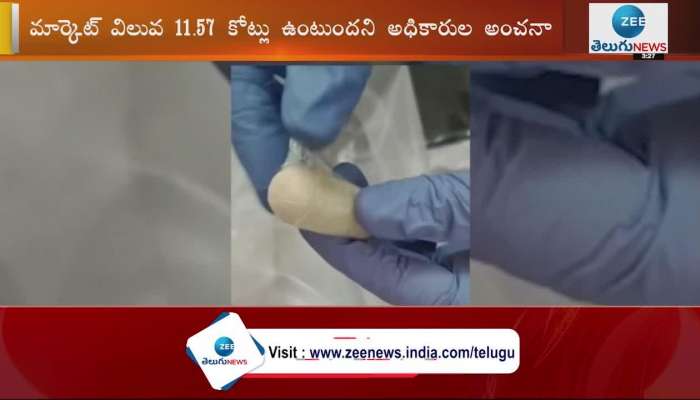 11.57 Cr Value of Drugs Seized at Shamshabad Airport