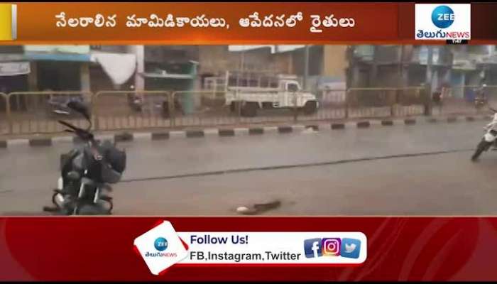  Premature rains cause severe damage to farmers in Annamayya district