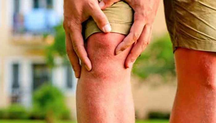 Knee Pain Remedies: ఈ ఆహార పదార్థాలను రోజూ తింటే మెకాళ్ల నొప్పులు పరార్!