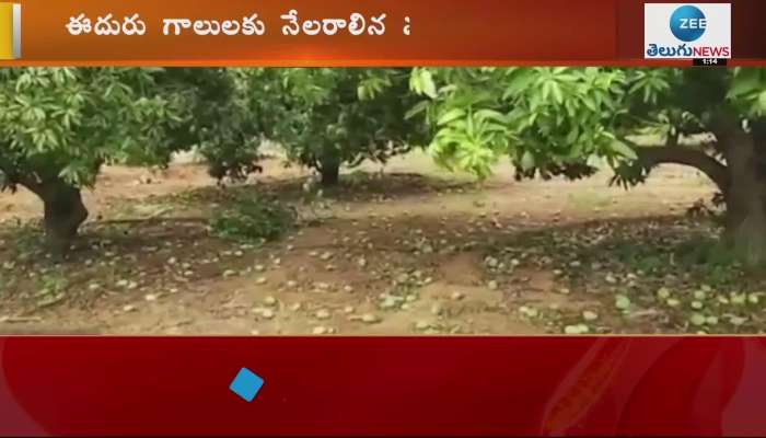 Asani Cyclone Effect On Annamayya District