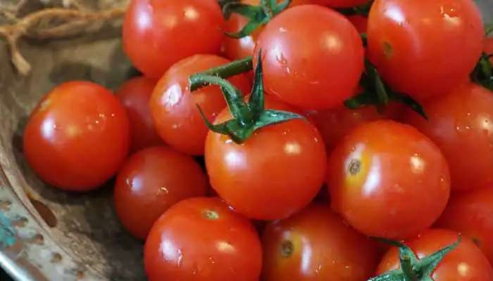 Tomato Price Hike: సామాన్యులకు చుక్కలు చూపిస్తున్న టమాటా ధర... కిలో రూ.80... 