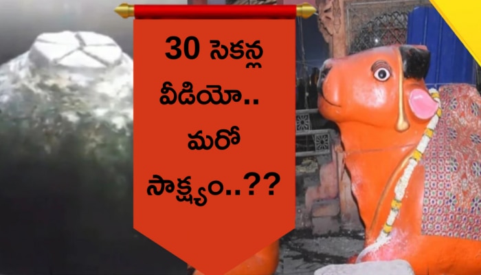 Gyanvapi Masjid Video: సంచలనం రేపుతున్న వీడియో.. జ్ఞానవాపి మసీదులో నంది విగ్రహం!