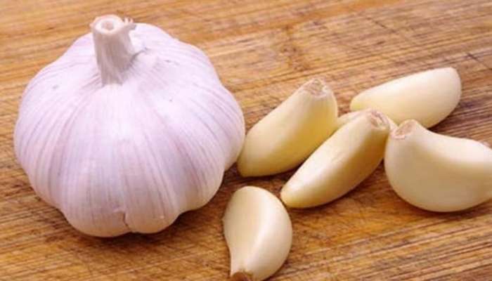 Garlic Benefits:వెల్లుల్లి కూరగాయా లేదా మసాలా..? ఈ ఆహార పదార్థానికి సంబంధించిన కొన్ని ఆసక్తికరమైన విషయాలు తెలుసుకోండి