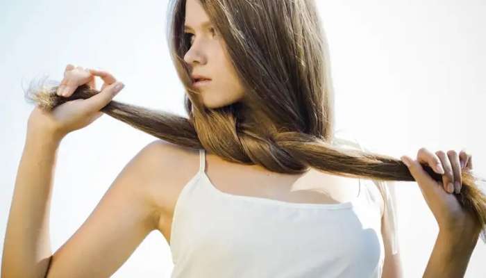 Summer Hair Care Tips: వేడి వల్ల జుట్టు మీ పాడవుతుందా..ఈ 7 చిట్కాలను పాటించడం ద్వారా ఆరోగ్యకరమైన జుట్టు పొందండి