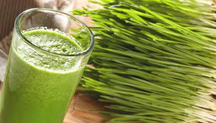 Wheatgrass Benefits: మధుమేహం వ్యాధి ఉన్నవారు ఈ జ్యూస్‌ తాగండి..!!  