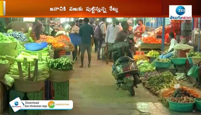 vegetables daily Market prices
