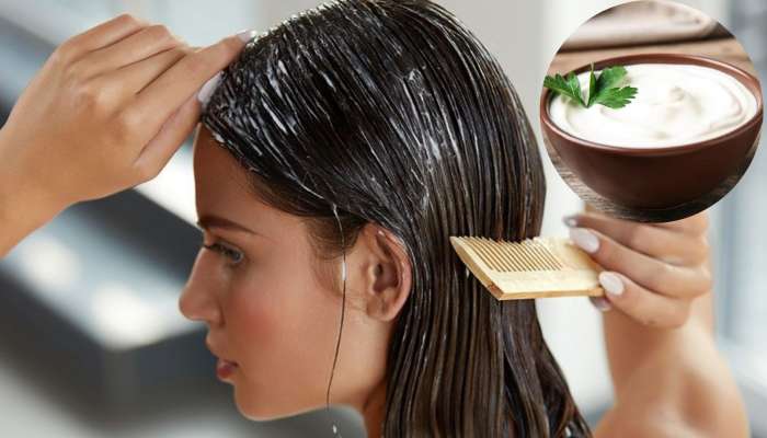 Curd Benefits On Hair: పెరుగు వల్ల జుట్టుకు ఇన్ని లాభాలా..!!