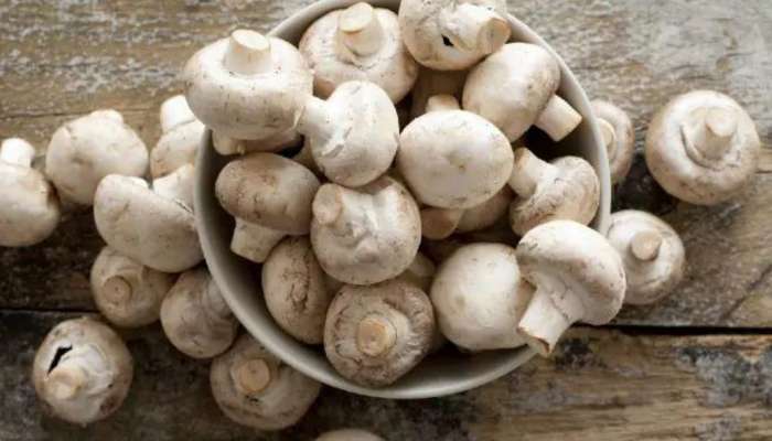 Mushroom Benefits: పుట్టగొడుగుల వల్ల చర్మాని ఇన్ని లాభాలా..?