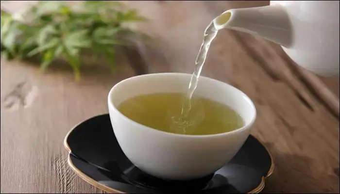 Green Tea Benefits: టైప్ 2 డయాబెటిస్ నియంత్రణలో దివ్యౌషధంగా గ్రీన్ టీ, ఎన్నిసార్లు తీసుకోవాలి