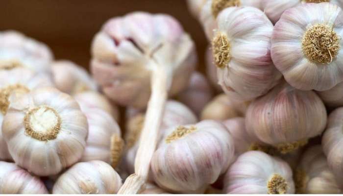 Garlic Health Benefits: వెల్లుల్లి తినడం వల్ల పురుషులకు కలిగే అద్భుతమైన ప్రయోజనాలేంటో తెలుసా?