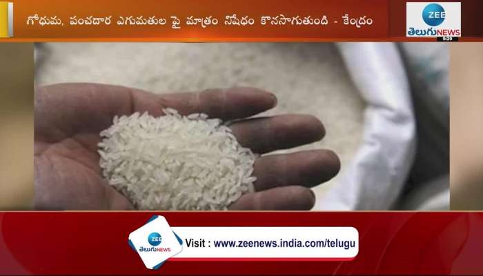 Government Has No Plans To Ban Rice Exports