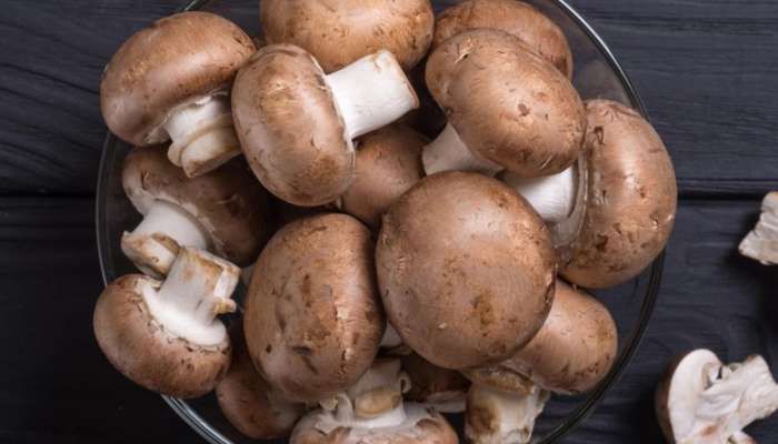 Benefits of Mushrooms: మష్రూమ్స్‌ వల్ల శరీరానికి ఎన్ని ప్రయోజనాలున్నాయో తెలుసా..?