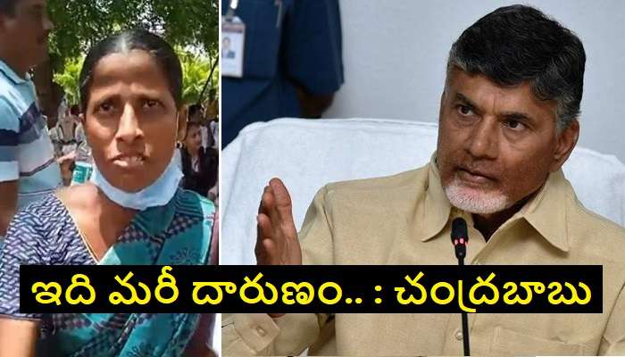 Attack on Venkayamma: దళిత మహిళ కుటుంబంపై ఇంత దారుణమా ? : వెంకాయమ్మ కొడుకుపై దాడిని ఖండించిన చంద్రబాబు