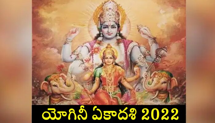 Yogini Ekadashi 2022: యోగినీ ఏకాదశి రోజున ఈ సింపుల్ పరిహారాలు చేయండి.. అపారమైన సంపదను పొందండి!